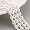 Natural Cultured Freshwater Pearl Beads Strands PEAR-P062-08L-2