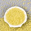 FGB Frosted Transparent Glass Seed Beads SEED-N013-04A-02-2