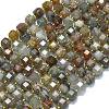 Natural Lodolite Quartz Beads Strands G-K389-A24-01-1