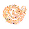 Electroplate Transparent Glass Beads Strands EGLA-N057-02A-04-2