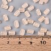 FGB Frosted Transparent Glass Seed Beads SEED-N013-05A-03-4