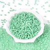 6/0 Transparent Inside Colours Glass Seed Beads SEED-N008-08I-2