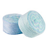 Segment Dyed Knitting Yarn DIY-TAC0033-03H-2