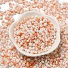 Baking Paint Glass Seed Beads SEED-F006-01A-10-2