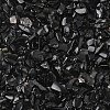 Natural Obsidian Chip Beads G-L453-08-1