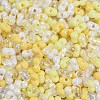 Glass Seed Beads SEED-K010-03A-2