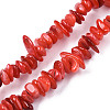 Natural Freshwater Shell Beads Strands SHEL-S278-071-2