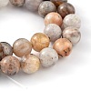 Natural Bamboo Leaf Agate Round Bead Strands G-M248-10mm-04-2