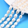 Natural Cultured Freshwater Pearl Beads Strands PEAR-N012-07F-1