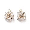 Clear Glass Charms KK-M233-31G-1