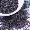 MIYUKI Round Rocailles Beads X-SEED-G007-RR0170-1