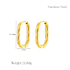 Elegant 304 Stainless Steel Hoop Earrings IT2195-3-1