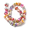 Natural Trochid Shell/Trochus Shell Beads Strands SHEL-B003-02L-2