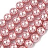Electroplated Shell Pearl Beads Strands BSHE-G041-10mm-05-1