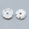 Freshwater Shell Beads SHEL-S275-041-2