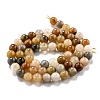 Natural Golden Silk Jade Beads Strands G-O199-04B-2