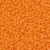 MIYUKI Delica Beads X-SEED-J020-DB1583-3