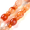 Natural Agate Beads Strands G-H024-E01-01-1