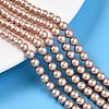 Baking Paint Pearlized Glass Pearl Bead Strands HY-N002-5mm-C02-1