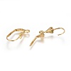 304 Stainless Steel Leverback Earrings Findings STAS-P227-45G-2