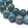 Natural Apatite Beads Strands G-I254-08G-3