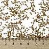 MIYUKI Round Rocailles Beads X-SEED-G009-RR0311-3