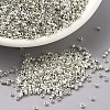 MIYUKI Delica Beads X-SEED-J020-DB0035-1