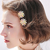 2 Bags Alloy & Resin Hair Clips Kits PHAR-SC0001-004-5