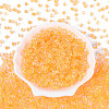 Transparent Inside Colours Glass Seed Beads SEED-T007-11G-1