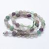 Natural Fluorite Beads Strands G-E484-01-2