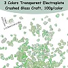 3 Style Transparent Electroplate Crushed Glass Craft GLAA-SC0001-99C-2