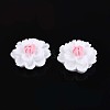 Resin Decoden Cabochons CRES-T025-04A-1