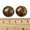 Natural Tiger Iron Cabochons G-C115-02A-34-3