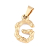 304 Stainless Steel Pendants STAS-F235-01G-G-1