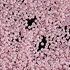 TOHO 11/0 Round Beads SEED-XTR11-0145-3
