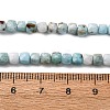 Natural Larimar Beads Strands G-F803-C01-03-5