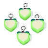 Handmade Polymer Clay Charms CLAY-S096-020B-1