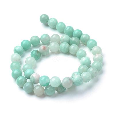 Natural Amazonite Beads Strands G-T055-10mm-17-1