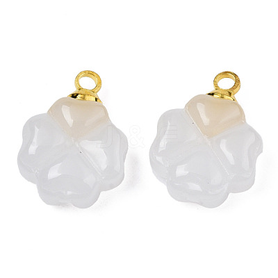 Glass Charms GLAA-N036-02B-1