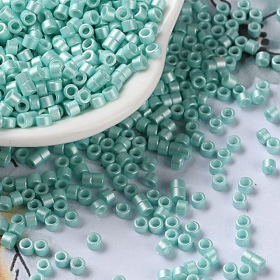 Baking Paint Glass Seed Beads X-SEED-S042-15A-09-1