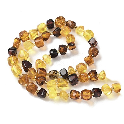 Natural Amber Beads Strands G-L095-E01-01-1