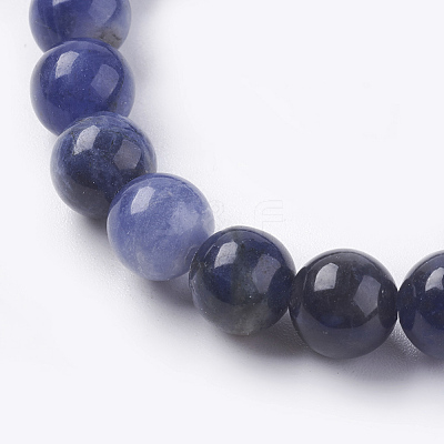 Natural Sodalite Beads Strands X-G-G515-8mm-07-1