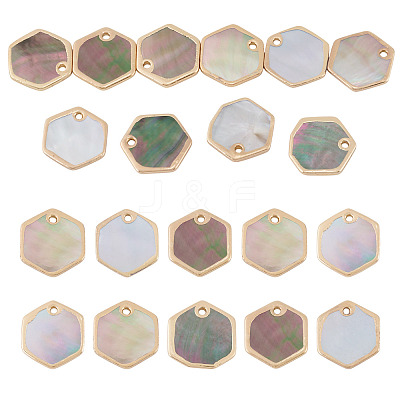 10Pcs Natural Black Lip Shell Hexagon Charms BSHE-TA0001-25-1