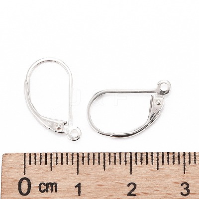 925 Sterling Silver Hoop Earrings STER-P032-06S-1