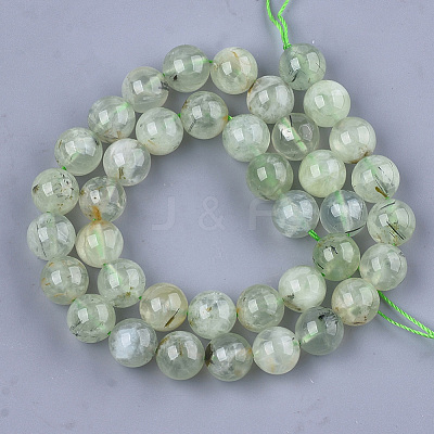 Natural Prehnite Beads Strands G-S333-10mm-032-1