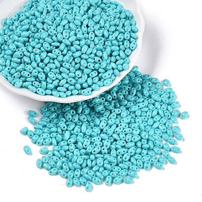 Baking Paint Glass Seed Beads SEED-T006-03H-1