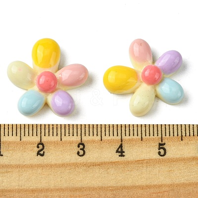 Opaque Resin Decoden Cabochons RESI-K038-02-1