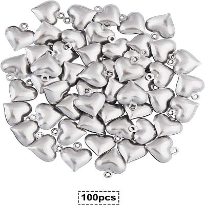304 Stainless Steel Charms STAS-UN0003-85-1