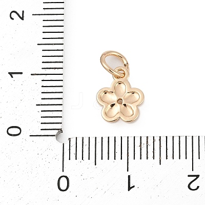Brass Micro Pave Cubic Zirconia Charms KK-Q096-03B-G-1