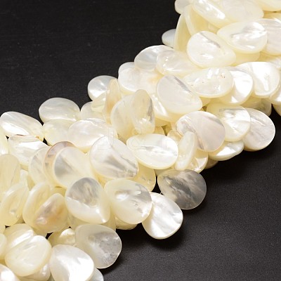 Natural Trochid Shell/Trochus Shell Beads Strands SSHEL-K009-08-1